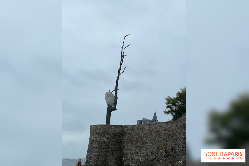 Villa Reine Hortense à Dinard : nos photos - IMG 1051