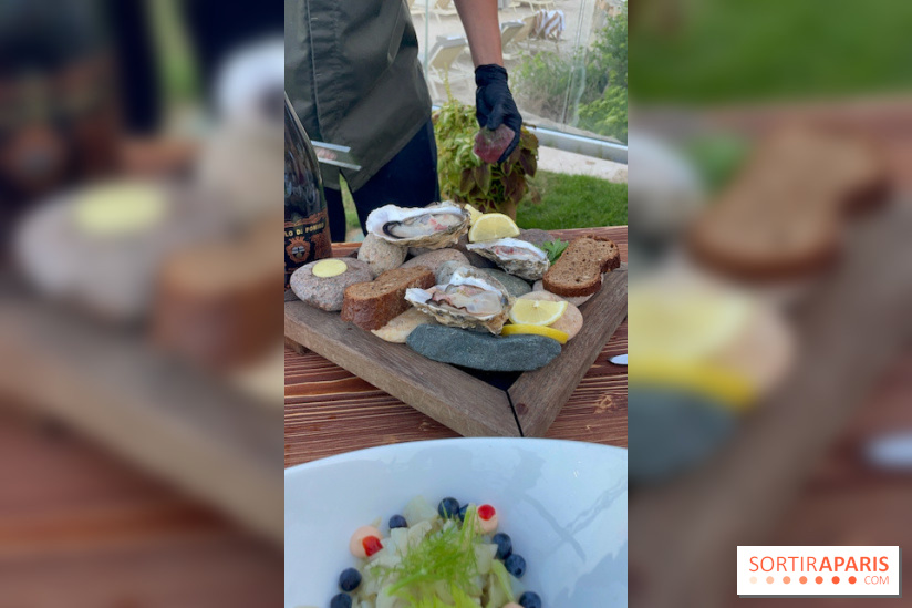 Forte Resort : Restaurant Wild Scandinavian BBQ