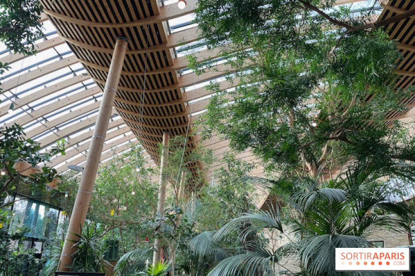 Center Parcs Les Trois Forêts - IMG 2379