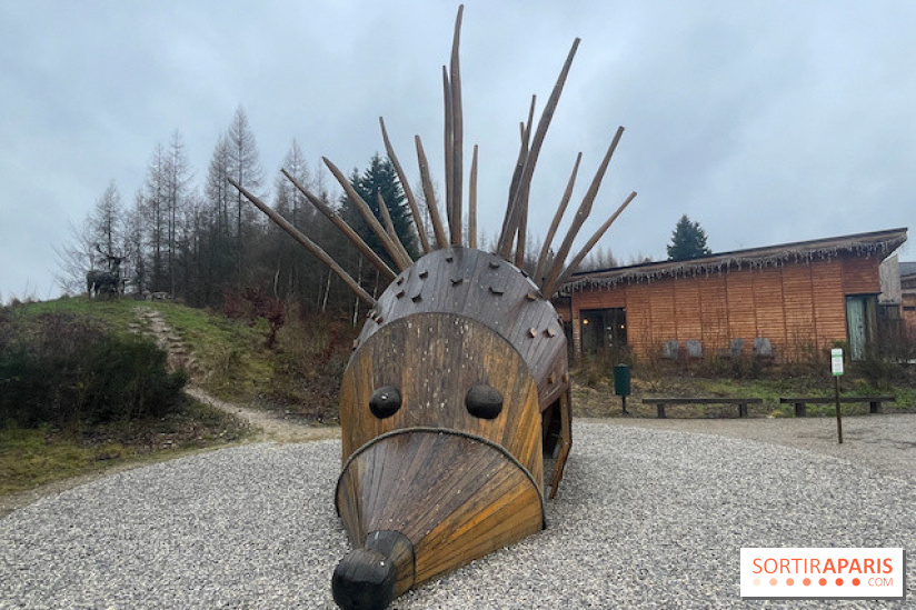 Center Parcs Les Trois Forêts - IMG 2476