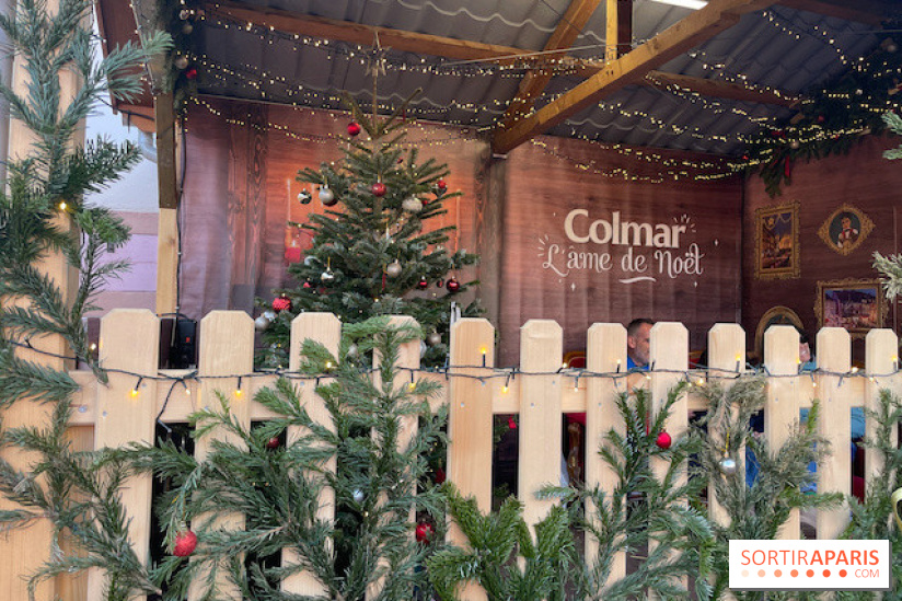 Hôtel Esquisse et marché de Noël de Colmar