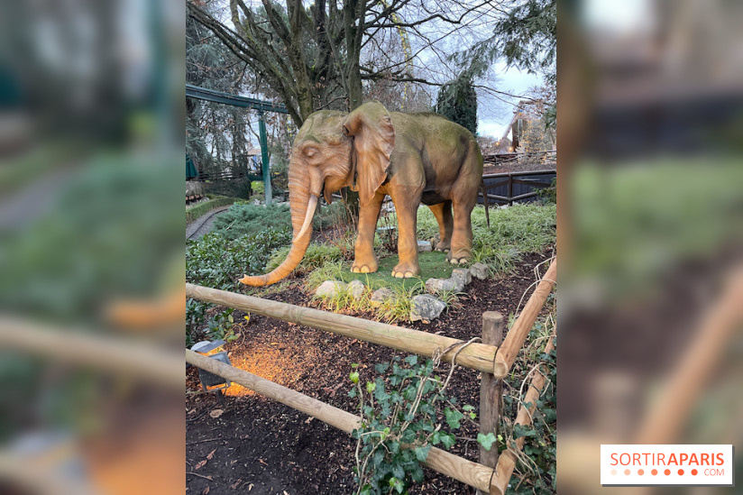 Europa Park : Parc d'attraction  - IMG 3270