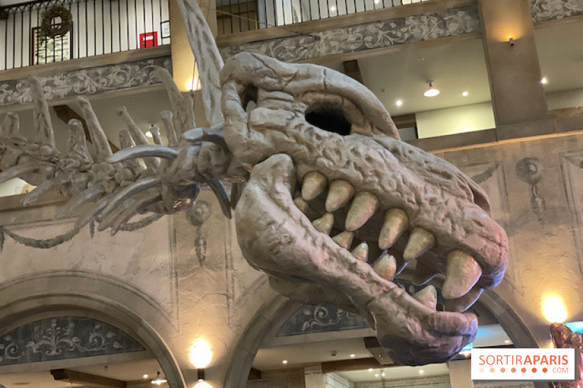 Hôtel Krønasår : Aventure 4 Étoiles près de Rulantica à Europa Park - IMG 2973