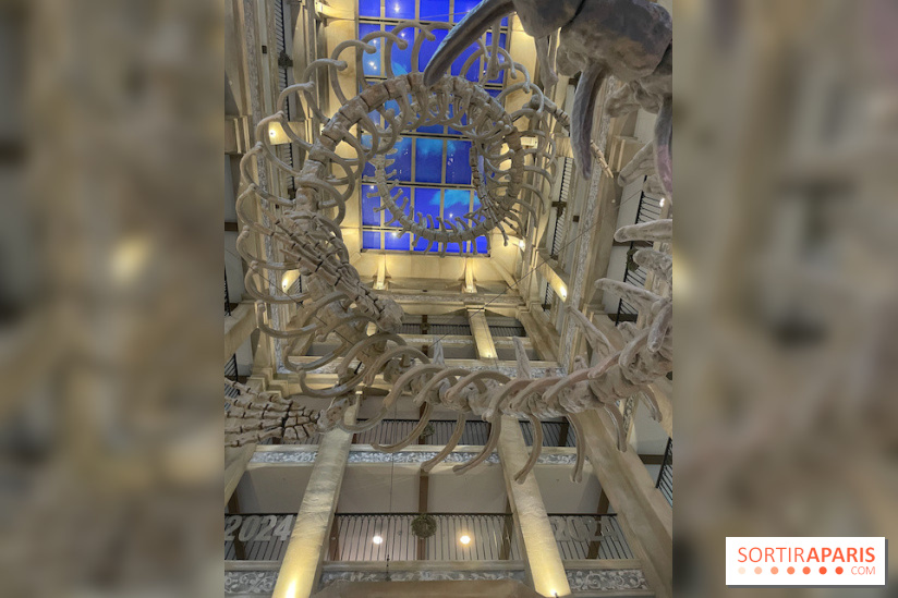 Hôtel Krønasår : Aventure 4 Étoiles près de Rulantica à Europa Park - IMG 2987