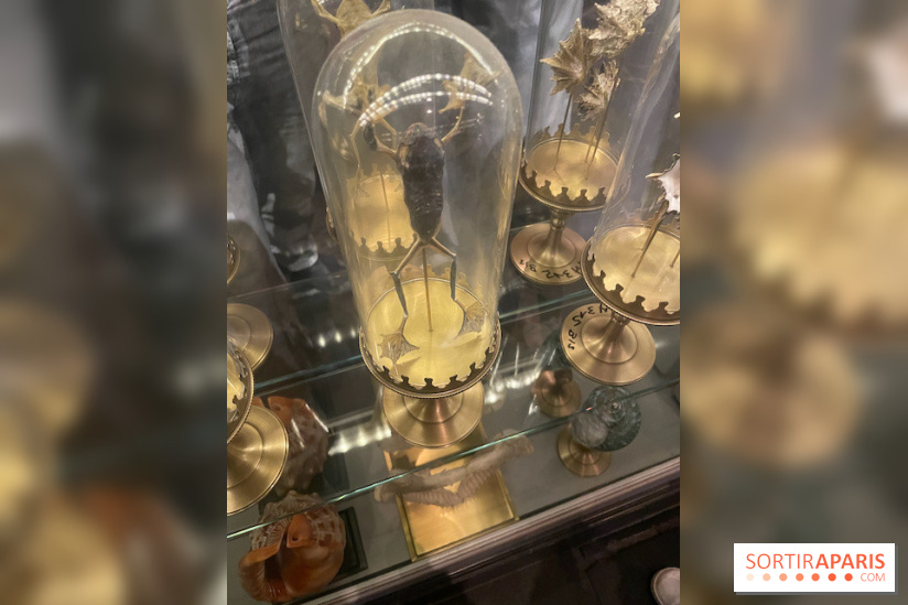 Rulantica à Europa Park