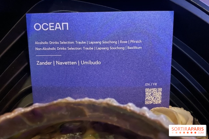 Eatrenalin à Europa Park - IMG 3134