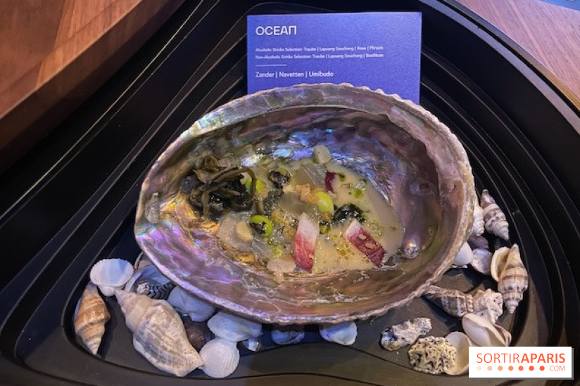 Eatrenalin à Europa Park - IMG 3135