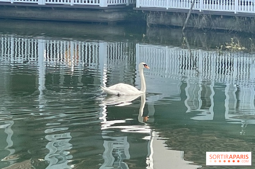 Center Parcs Lac d'Ailette - IMG 7614