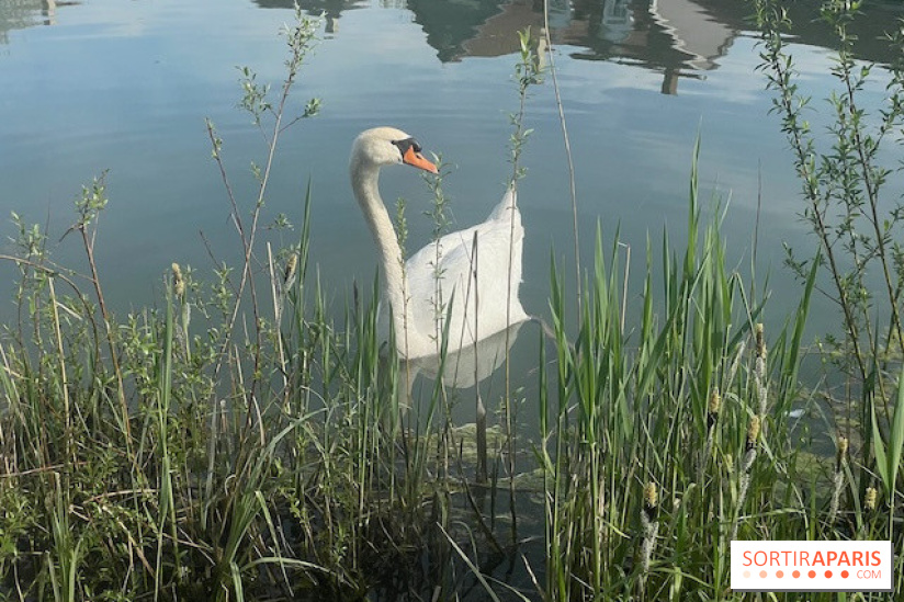 Center Parcs Lac d'Ailette - IMG 7615