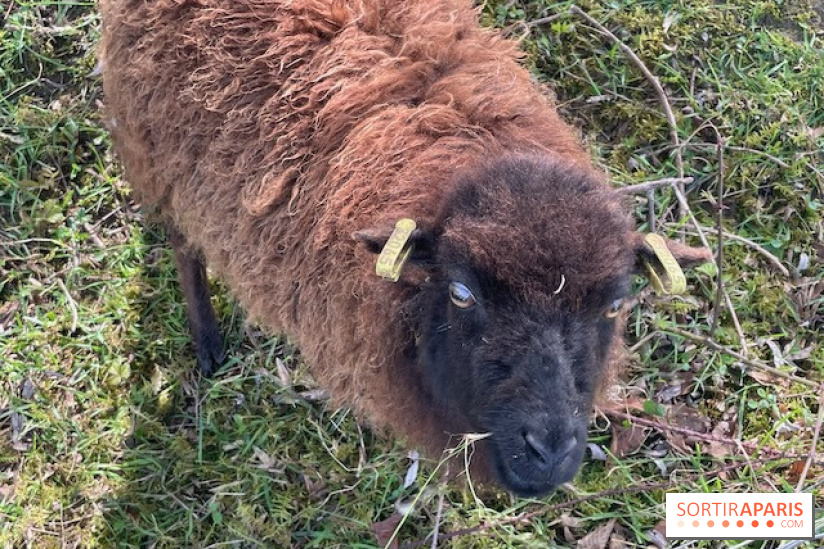 Center Parcs Lac d'Ailette - IMG 7622