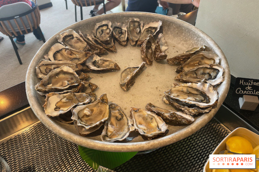 Emeria Dinard - IMG 8529