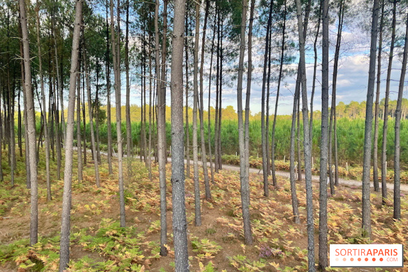 Center Parcs Landes de Gascogne : Nos Photos