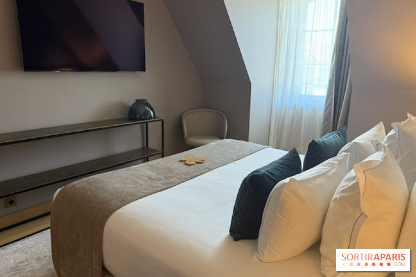 Chambre avec télévision à Fleur de Loire