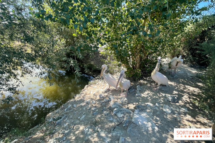 CenterParcs : Domaine Le Bois aux Daims et ses alentours