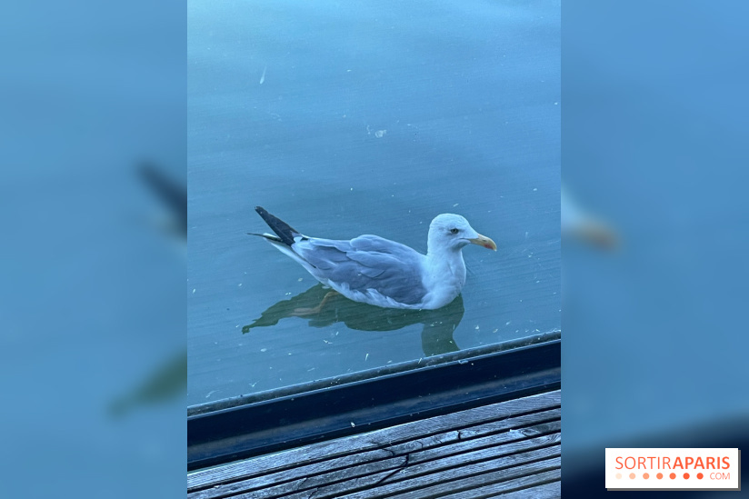 CenterParcs : Domaine Le Bois aux Daims et ses alentours