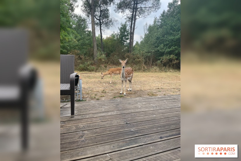 CenterParcs : Domaine Le Bois aux Daims et ses alentours