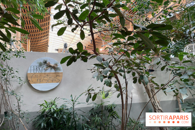 Center Parcs Les Trois Forêts - IMG 2376