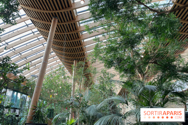 Center Parcs Les Trois Forêts - IMG 2379