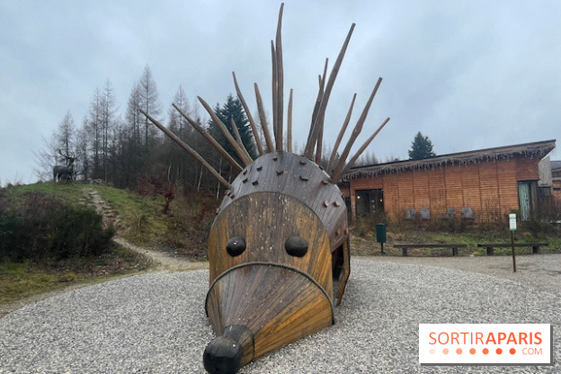 Center Parcs Les Trois Forêts - IMG 2476