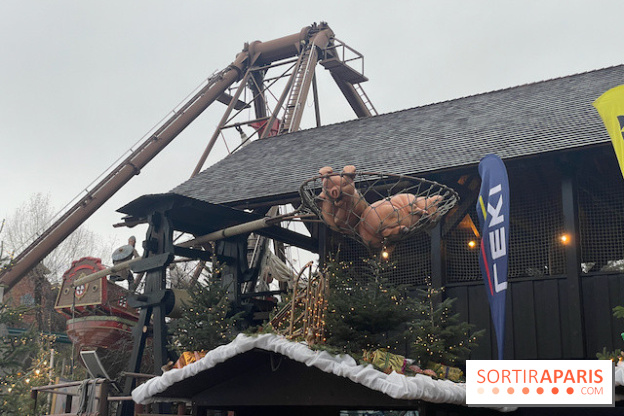 Europa Park : Parc d'attraction  - IMG 3225