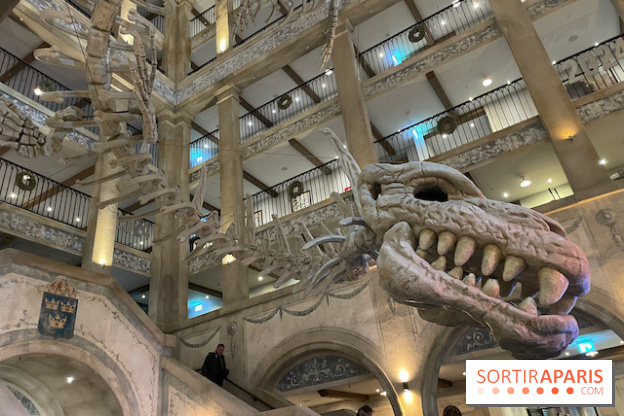 Hôtel Krønasår : Aventure 4 Étoiles près de Rulantica à Europa Park - IMG 2974