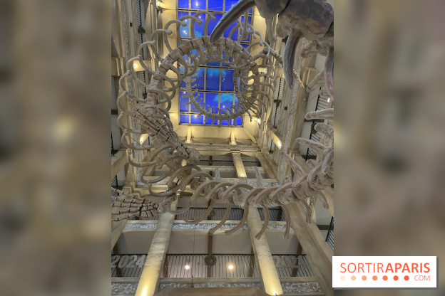 Hôtel Krønasår : Aventure 4 Étoiles près de Rulantica à Europa Park - IMG 2987