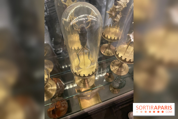 Rulantica à Europa Park - IMG 3611