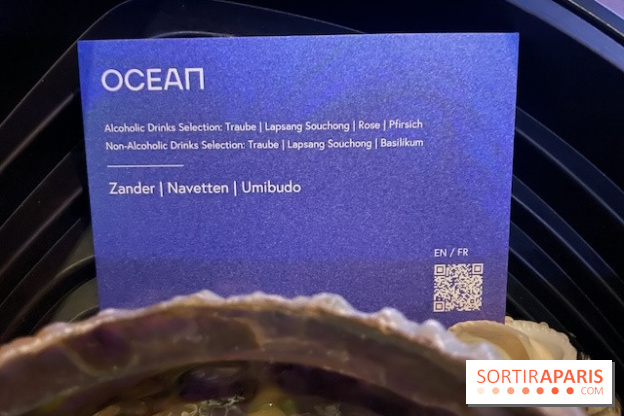 Eatrenalin à Europa Park - IMG 3134