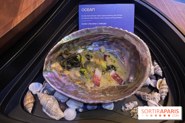 Eatrenalin à Europa Park - IMG 3135