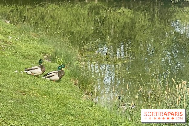 Center Parcs Lac d'Ailette - IMG 7613