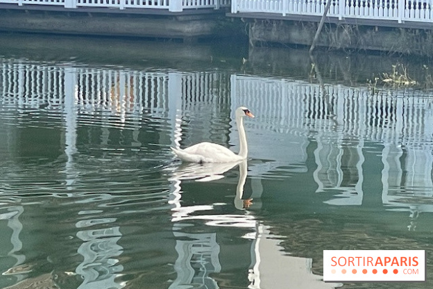 Center Parcs Lac d'Ailette - IMG 7614