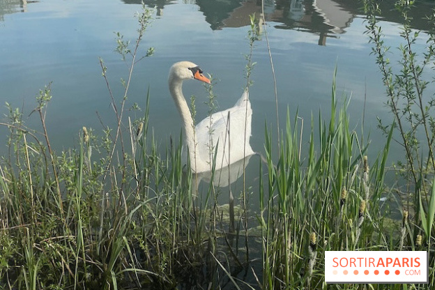 Center Parcs Lac d'Ailette - IMG 7615