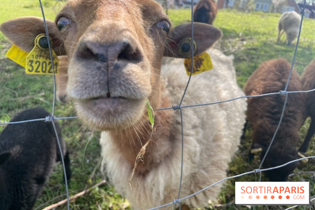 Center Parcs Lac d'Ailette - IMG 7621