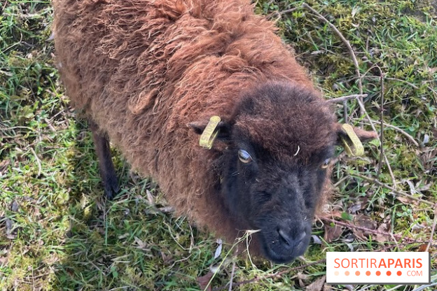 Center Parcs Lac d'Ailette - IMG 7622