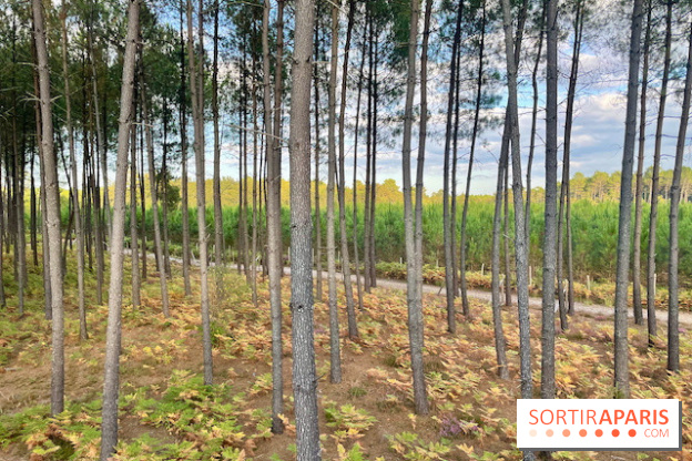 Center Parcs Landes de Gascogne : Nos Photos
