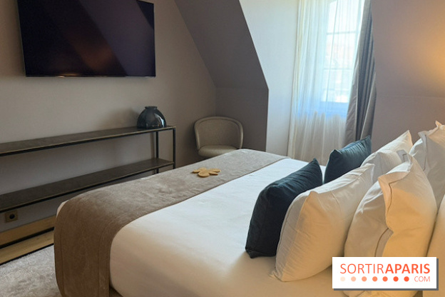 Chambre avec télévision à Fleur de Loire
