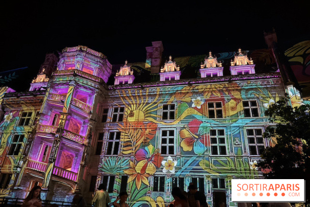 Projection florale du Son et Lumière