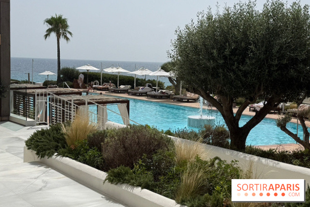 Villa Le Blanc Gran Meliá : piscine principale vue depuis la terrasse