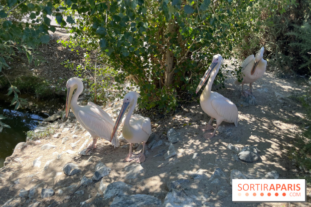 CenterParcs : Domaine Le Bois aux Daims et ses alentours