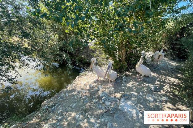 CenterParcs : Domaine Le Bois aux Daims et ses alentours