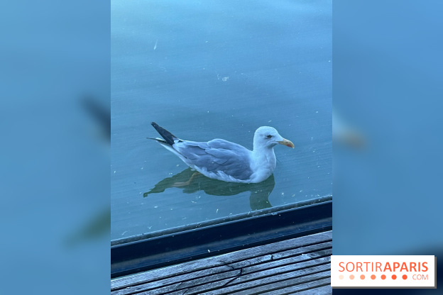 CenterParcs : Domaine Le Bois aux Daims et ses alentours