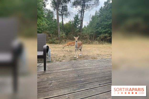 CenterParcs : Domaine Le Bois aux Daims et ses alentours