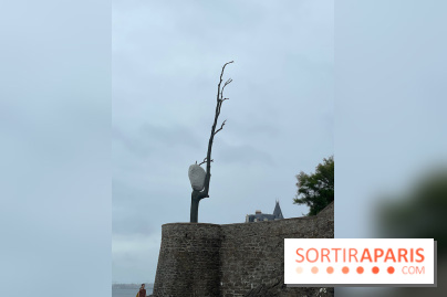 Villa Reine Hortense à Dinard : nos photos - IMG 1051