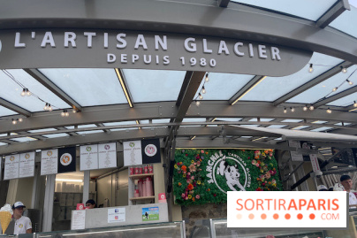 Villa Reine Hortense à Dinard : nos photos - IMG 1087