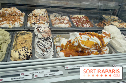 Villa Reine Hortense à Dinard : nos photos - IMG 1089