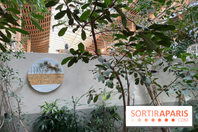 Center Parcs Les Trois Forêts - IMG 2376