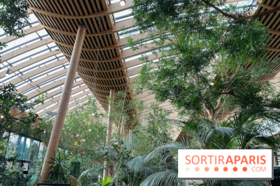 Center Parcs Les Trois Forêts - IMG 2379