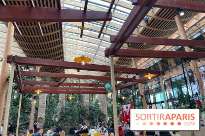 Center Parcs Les Trois Forêts - IMG 2383