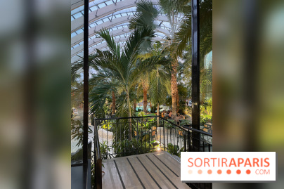 Center Parcs Les Trois Forêts - IMG 2402