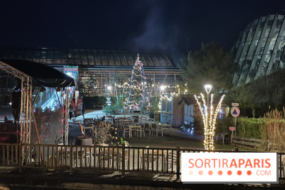 Center Parcs Les Trois Forêts - IMG 2420